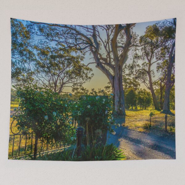 Artikelvorschau, Sonnenuntergang am Weingut Bullock Creek - Bendigo, Victoria entworfen und verkauft von Steven Jodoin.