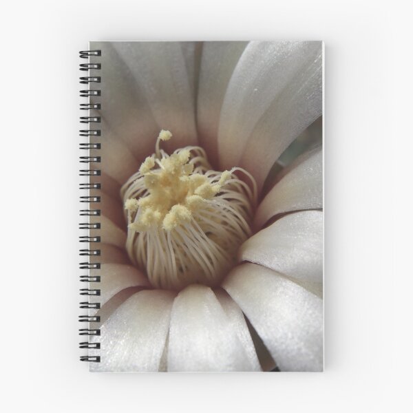 Item preview, Another Cactus bloom designed and sold by AnthonyThomas.