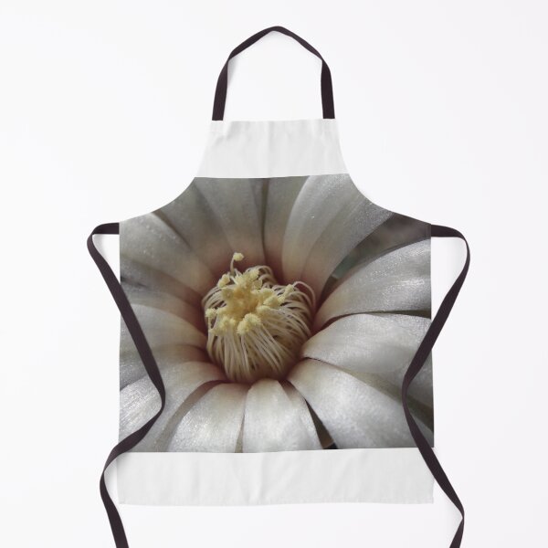 Item preview, Another Cactus bloom designed and sold by AnthonyThomas.