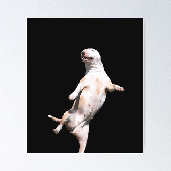 Item preview, bull terrier designed and sold by minus50.