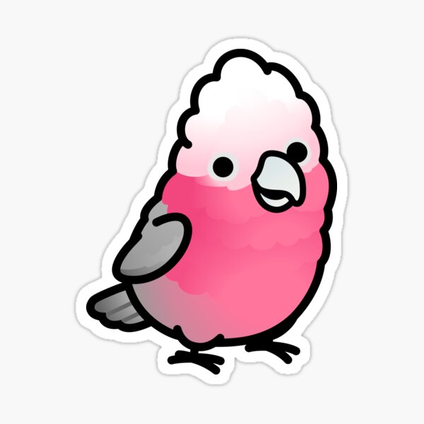 Rose-Breasted Galah Cockatoo Sticker