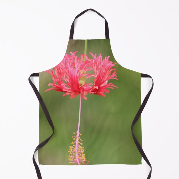 Item preview, Japanese Lantern designed and sold by Outdoor-wonders.