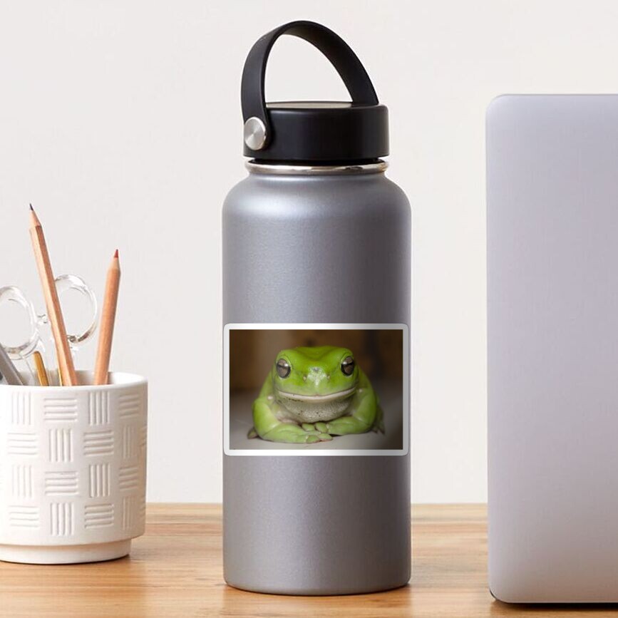 Green Tree Frog - Litoria caurulea Sticker