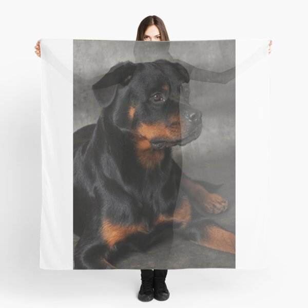 Item preview, rottweiller designed and sold by minus50.