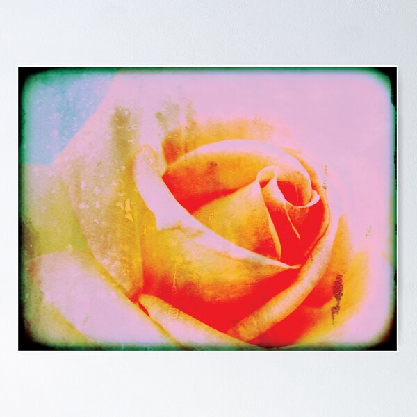 Item preview, Grunge Pink Rose  retro photo designed and sold by pignpix.