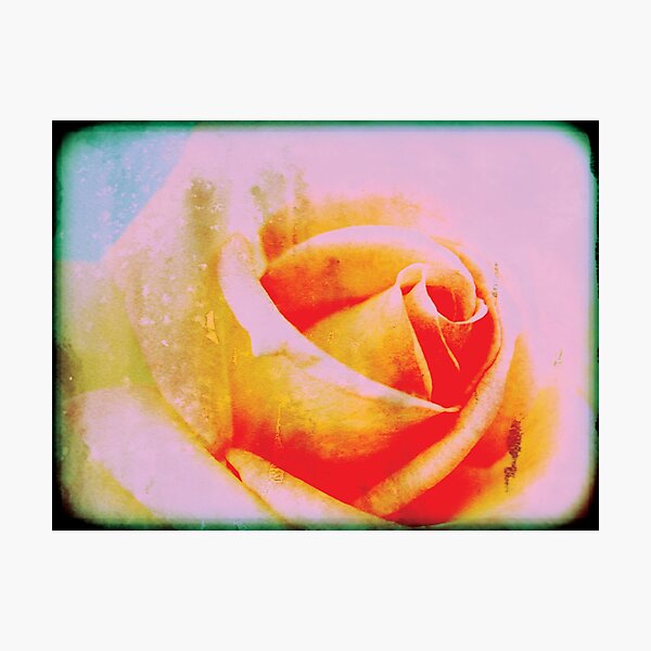 Item preview, Grunge Pink Rose  retro photo designed and sold by pignpix.