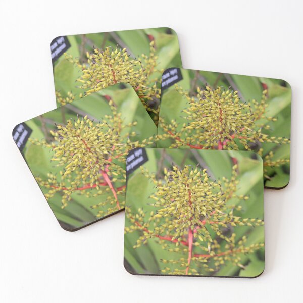 Item preview, Bud Blast designed and sold by Outdoor-wonders.