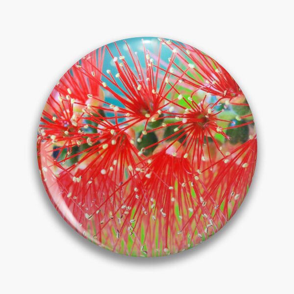 Item preview, Bottlebrush designed and sold by Keith's Photo Artistry.