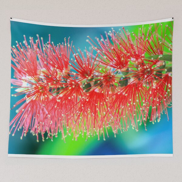 Item preview, Bottlebrush designed and sold by Keith's Photo Artistry.