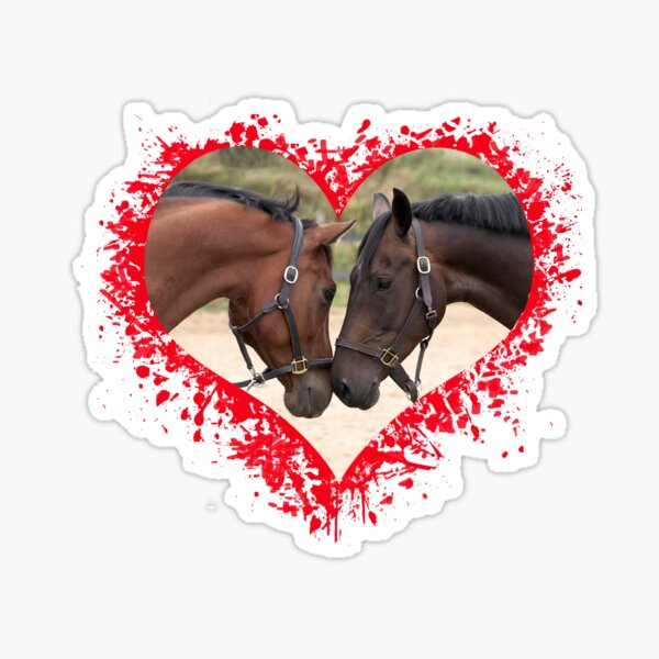 Pegatina «Caballos con marco de corazón - Caballos enamorados» de molamode  | Redbubble