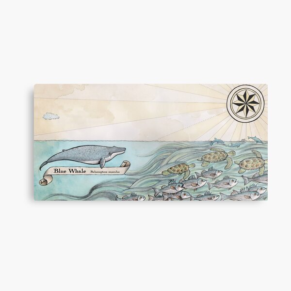 Blue Whale Metal Print