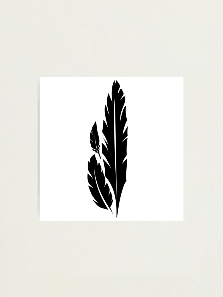 Feathers on white print by Editors Choice