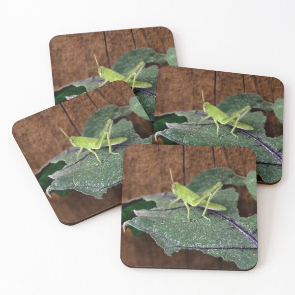 Item preview, Central Valley Grasshopper, Eating My Eggplant Leaves!! designed and sold by heatherfriedman.