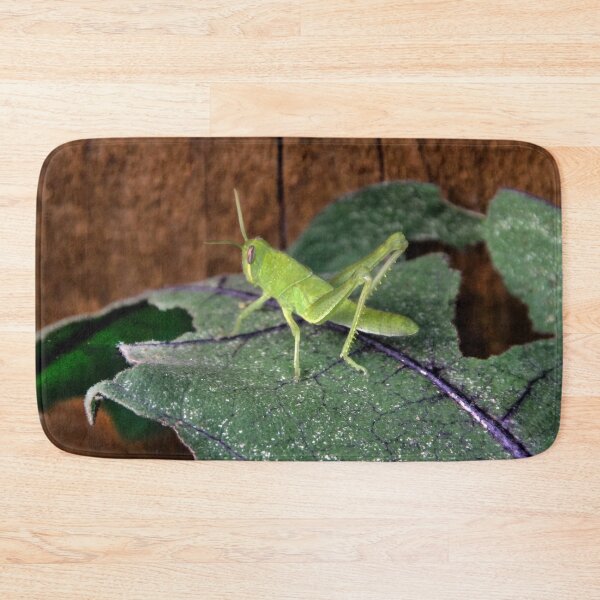 Item preview, Central Valley Grasshopper, Eating My Eggplant Leaves!! designed and sold by heatherfriedman.