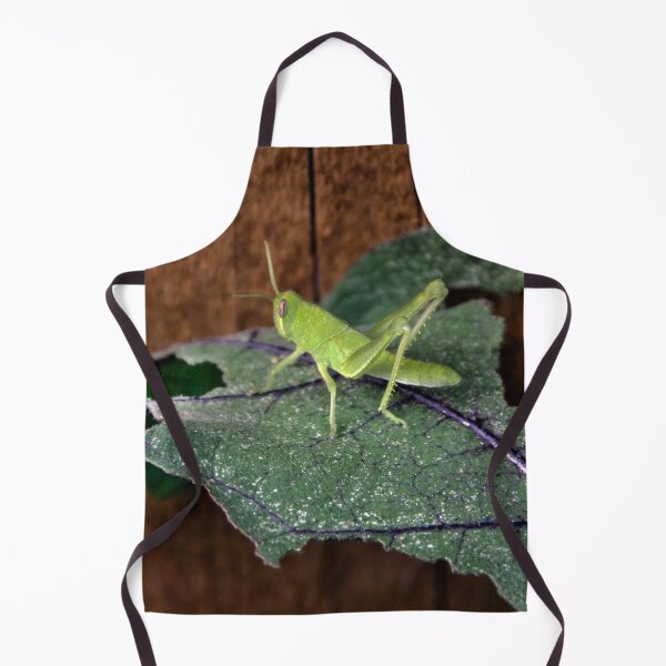Item preview, Central Valley Grasshopper, Eating My Eggplant Leaves!! designed and sold by heatherfriedman.