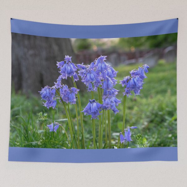 Item preview, Bluebells designed and sold by Ollivrosa.