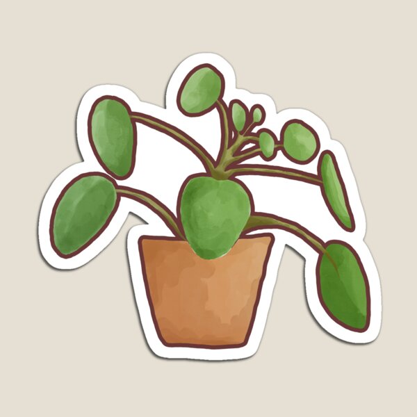 Item preview, Pilea Peperomioides designed and sold by SaraCynthia.