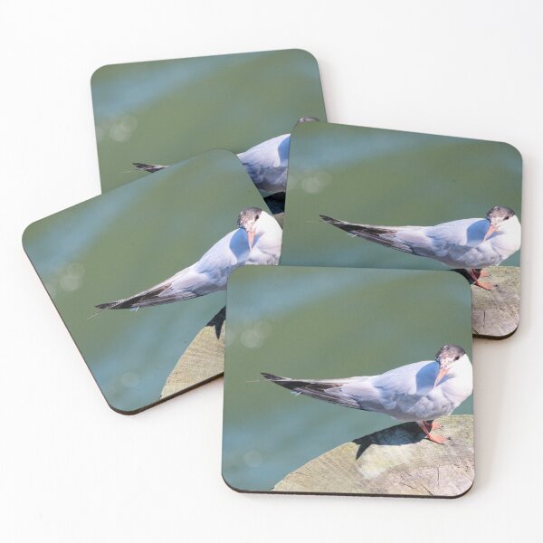 Item preview, SEABIRD designed and sold by BOLLA67.