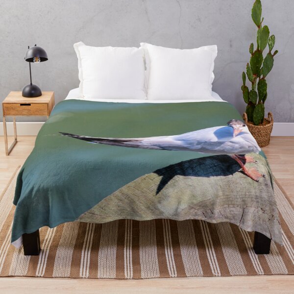 Item preview, SEABIRD designed and sold by BOLLA67.