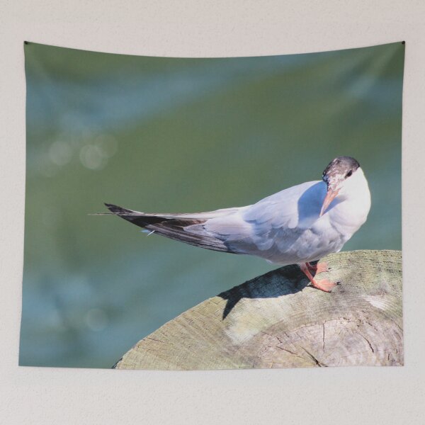 Item preview, SEABIRD designed and sold by BOLLA67.