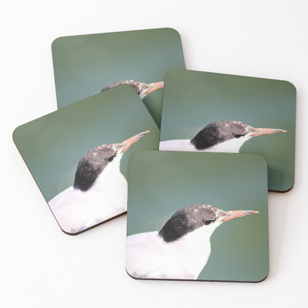 Item preview, SEABIRD CLOSEUP designed and sold by BOLLA67.
