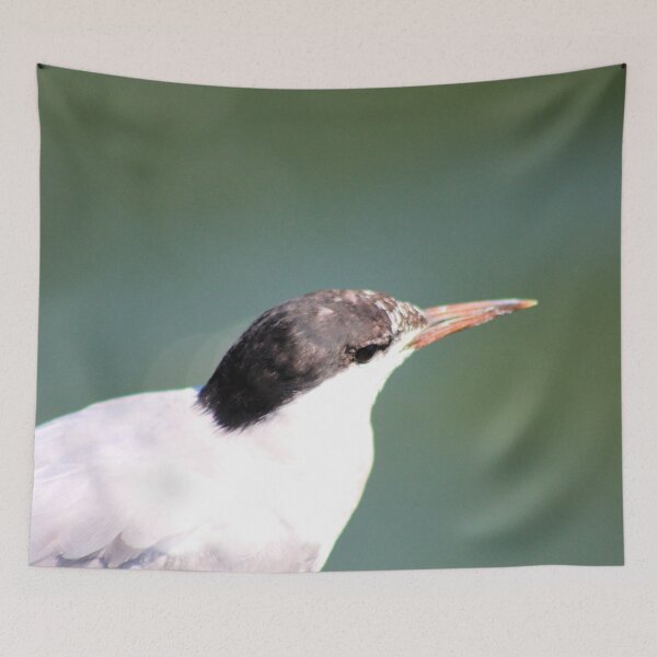 Item preview, SEABIRD CLOSEUP designed and sold by BOLLA67.