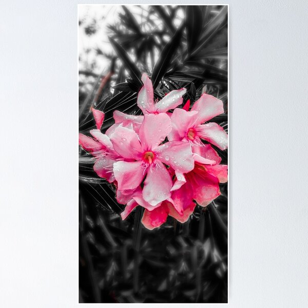 Item preview, Pink Flowers Divine Alone designed and sold by DanRune.