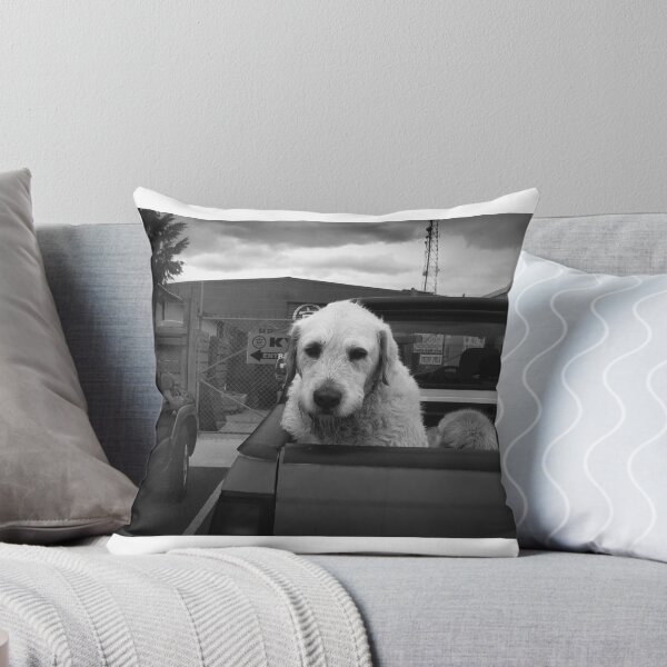 Item preview, Can we please go now...? designed and sold by Roz McQuillan Fine Art & Photography.