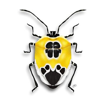 Artwork thumbnail, yellow bug by sofia-does-art