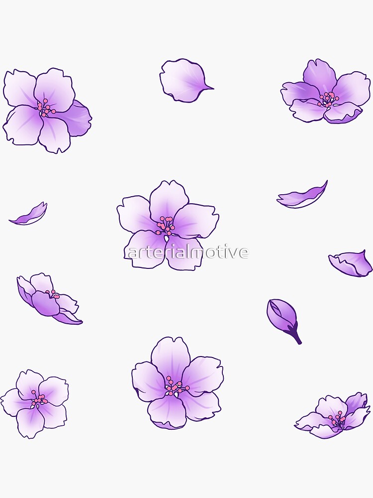 La caída de la flor de cerezo sakura púrpura de arterialmotive