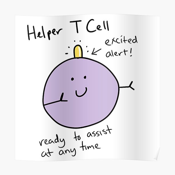 helper-t-cell-poster-by-alexicat-redbubble