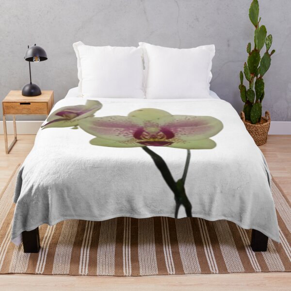 Item preview, orchids  designed and sold by Mariajose  Rojo.