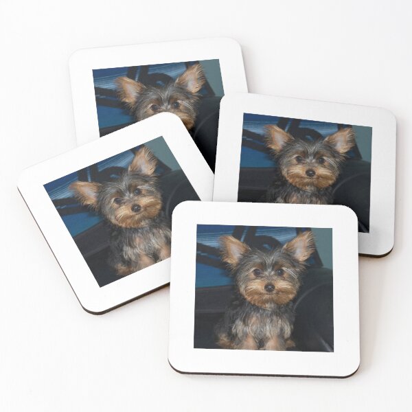 Item preview, Yorkie Trouble designed and sold by Christina Felix.