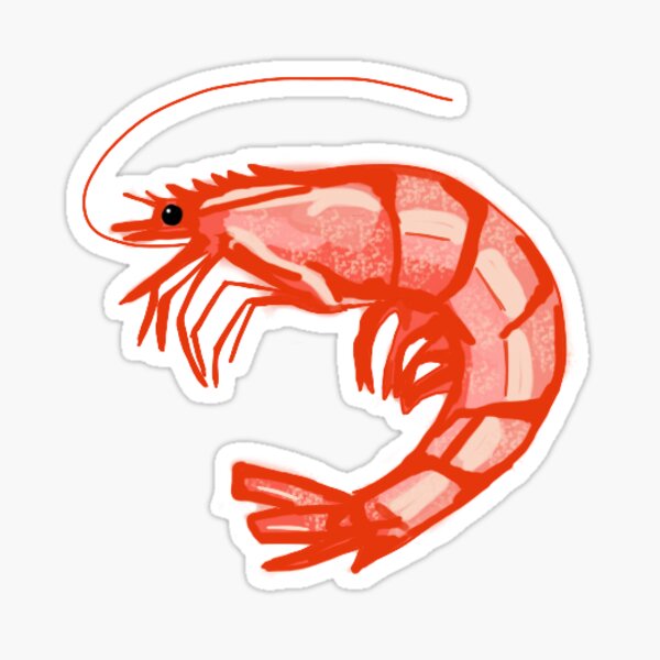 Item preview, Lonely Shrimp designed and sold by parimamich.