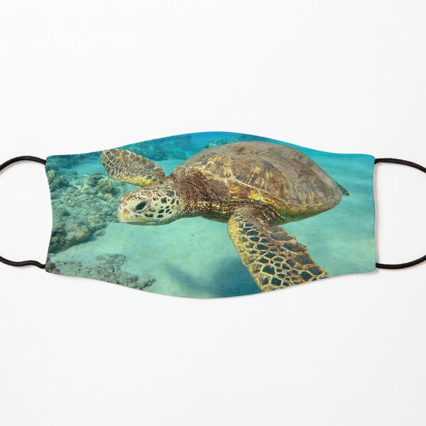 Green Sea Turtle Kids Mask