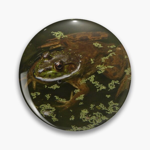 Item preview, Frog designed and sold by sketchetic.
