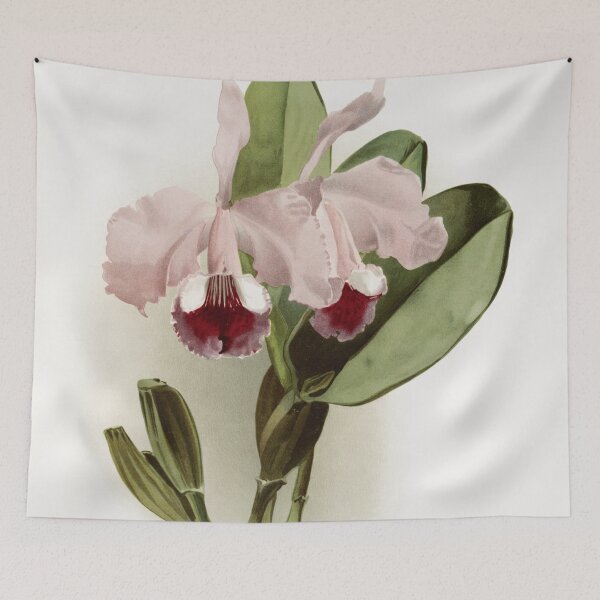 Item preview, Reichenbachia: Orchids Illustrated and Described designed and sold by EsotericBotanic.