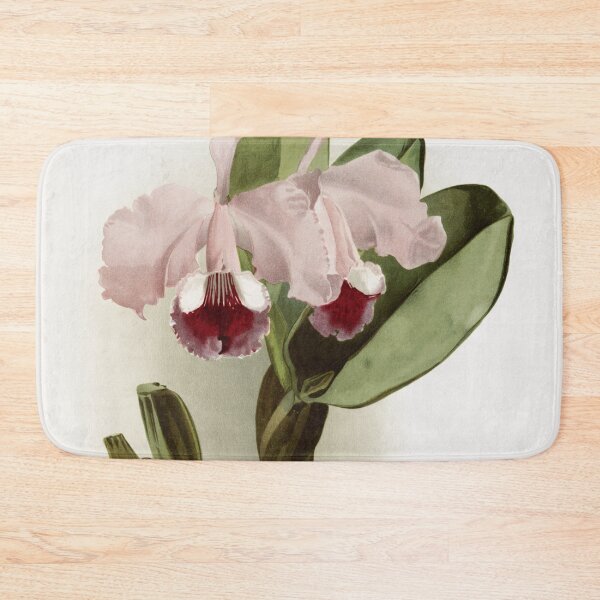 Item preview, Reichenbachia: Orchids Illustrated and Described designed and sold by EsotericBotanic.
