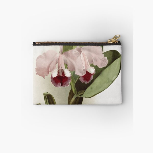 Item preview, Reichenbachia: Orchids Illustrated and Described designed and sold by EsotericBotanic.