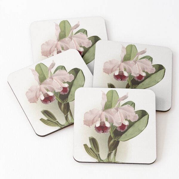 Item preview, Reichenbachia: Orchids Illustrated and Described designed and sold by EsotericBotanic.