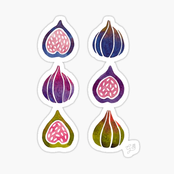 "Figs" Sticker for Sale by Giravolta Redbubble