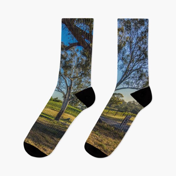 Item preview, Bullock Creek Vineyard at Sunset designed and sold by Steven Jodoin.