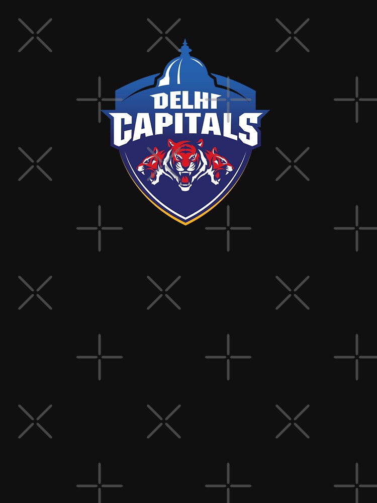 Delhi Capitals IPL 2021 Cricket