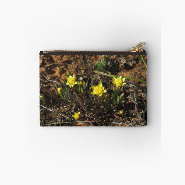 Item preview, Wildflower: Sunray! designed and sold by Joshua Hodges.