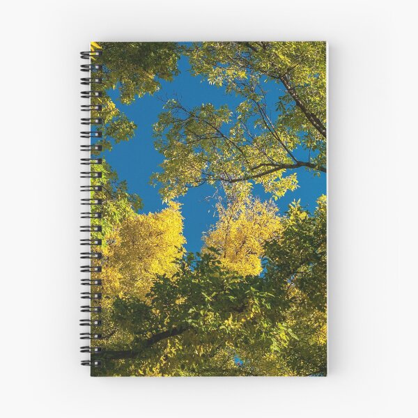Item preview, September Sky designed and sold by Randall Talbot.