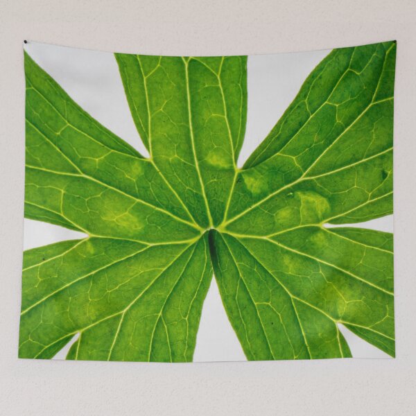 Item preview, Autumn leaves designed and sold by Beeffervescent.