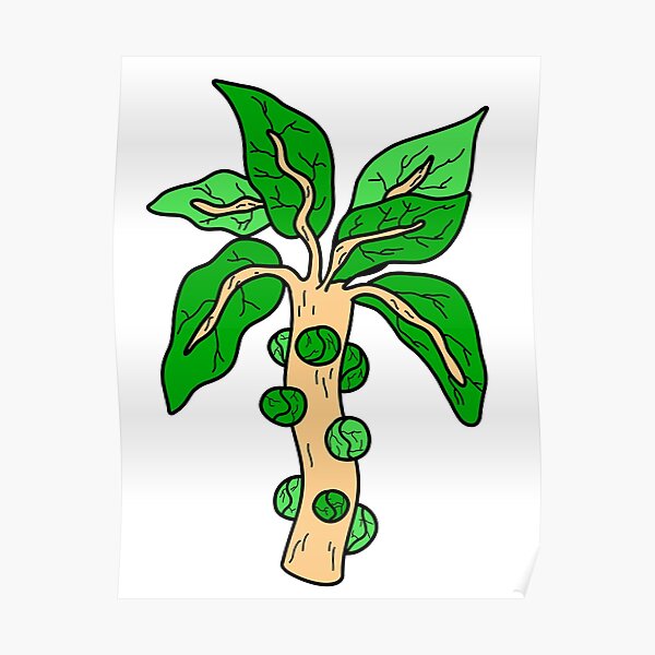 Cool Brussels Sprouts Illustration Poster