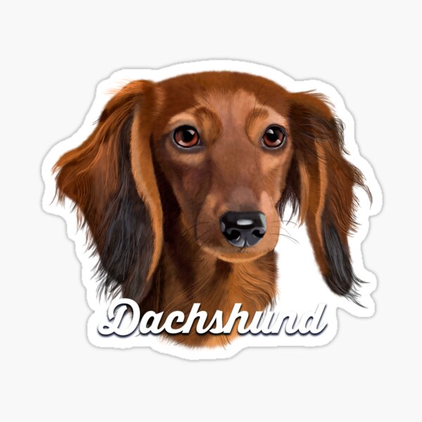 Item preview,  Brown Dachshund Teary-eyes Dog Gifts designed and sold by Barnissim.