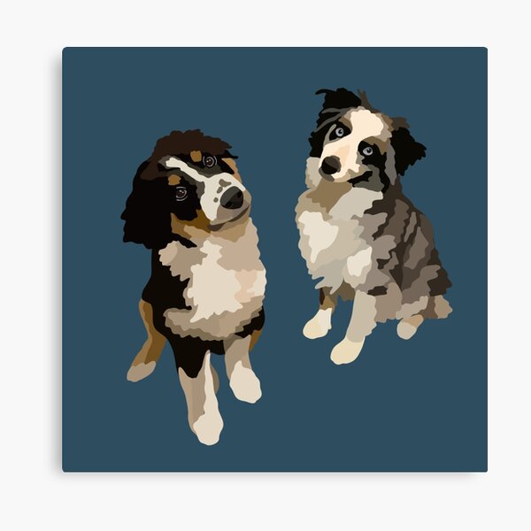 Two Aussies Australian Shepherd Dog Portrait Digital Illustration Canvas Print