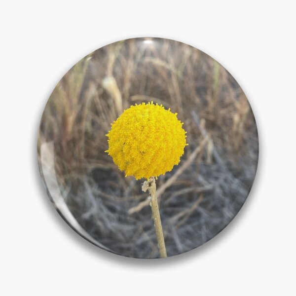Item preview, Billy Button designed and sold by Joshua Hodges.